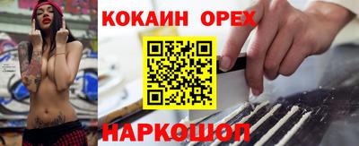 молекула духа Камышлов