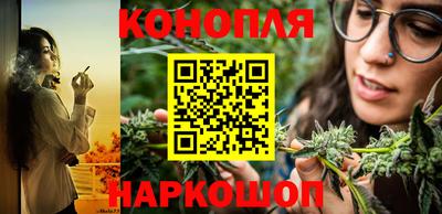 молекула духа Камышлов