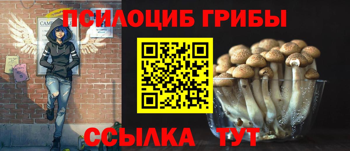 дарнет шоп  Псилоцибиновые грибы GOLDEN TEACHER  Вход с VPN  Коркино  Галлюциногенные грибы прущие грибы 