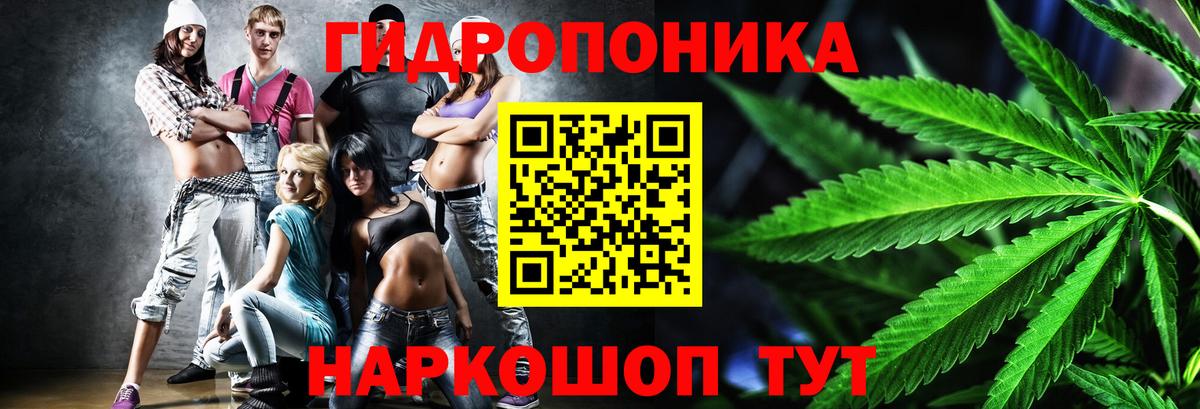 Шишки марихуана Bruce Banner  Вход с VPN  Коркино  Бошки марихуана MAZAR  Канабис план 